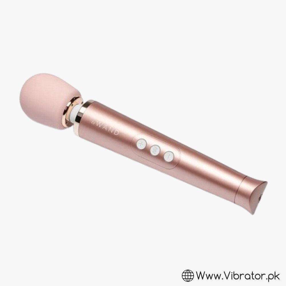 Le Wand Petite Rechargeable Massager