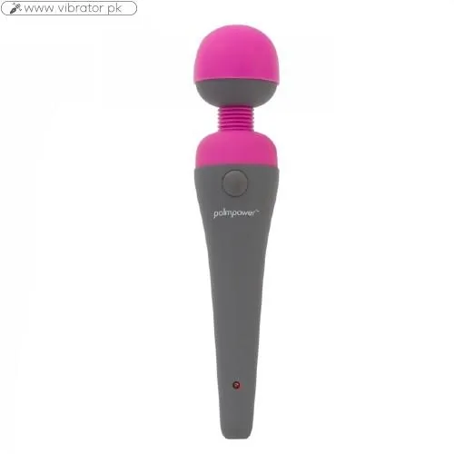 Palmpower Corded Massager In Pakistan