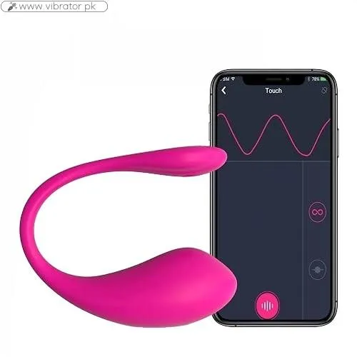 Pelvic Floor Vibrator With Remote In Pakistan