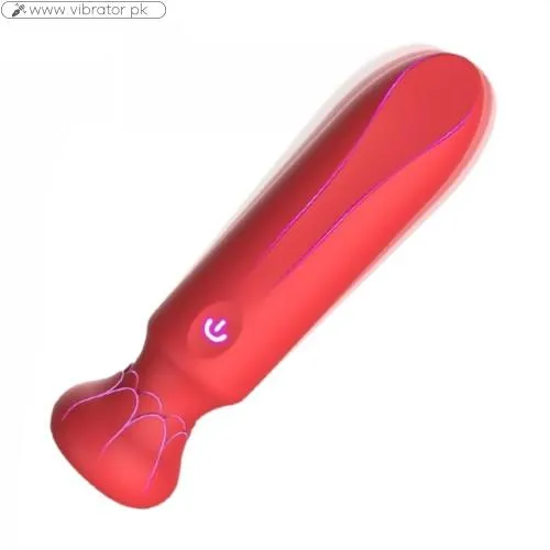 Mini Bullet Vibrator In Pakistan