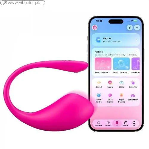 Lovense Lush 2 Remote Vibrator In Pakistan