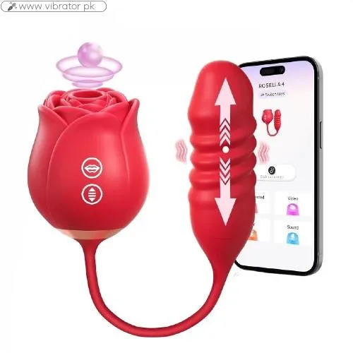Vibrator Dildo Sex Toys In Pakistan